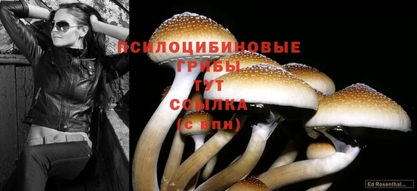 прущие крисы Богородск