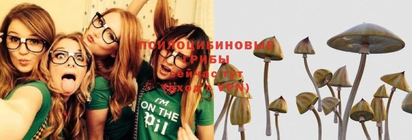 мдпв Богородицк