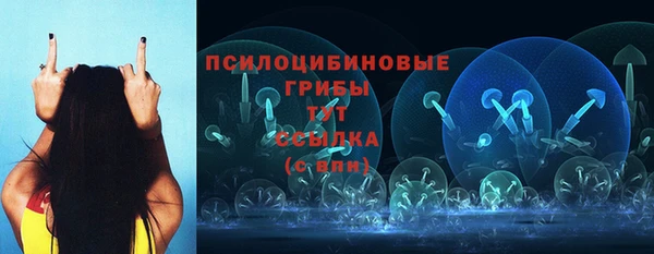 мдпв Богородицк