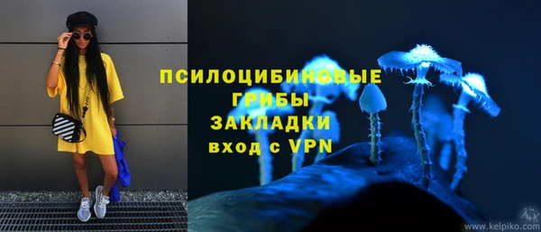 крисы Богданович