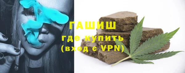 мдпв Богородицк