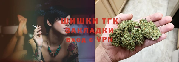 мдпв Богородицк