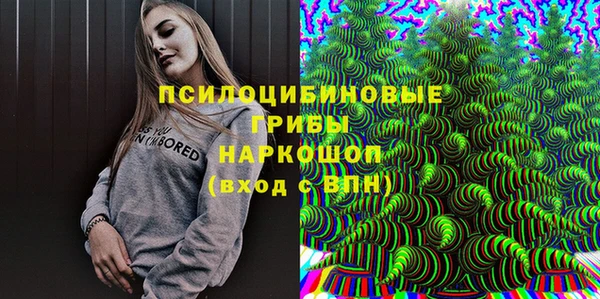мдпв Богородицк