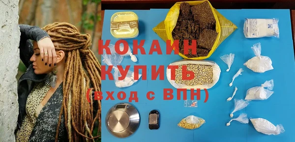 крисы Богданович